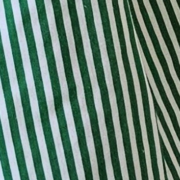 🍋American Apparel Striped Green/White Dress with Button Detail - Picture 7 of 7